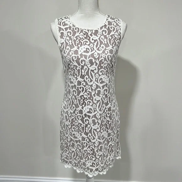chinese dress ladies Lace High Low Overdress – DraculaClothing
